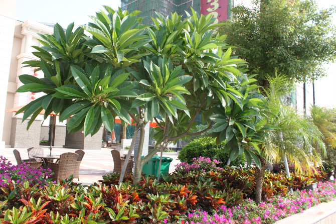 帝景灣小區(qū)內景布置.jpg